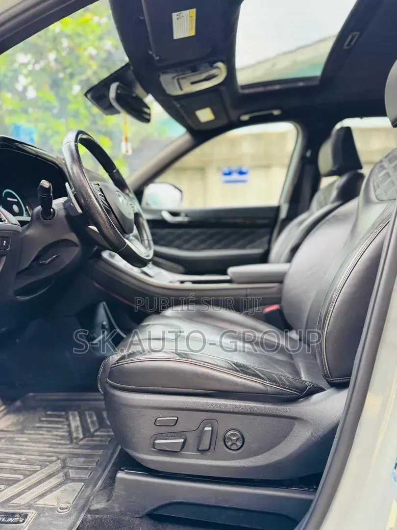 Hyundai Palissade 2022 Gris