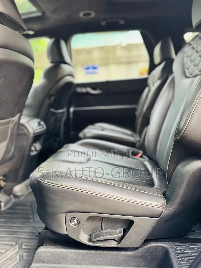 Hyundai Palissade 2022 Gris