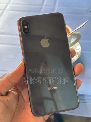 Apple iPhone XS Max 256 GB Noir