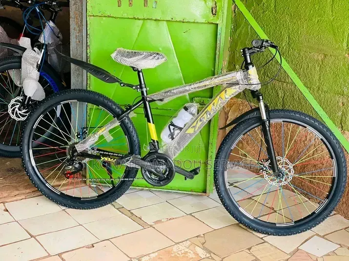 Vélo Électrique