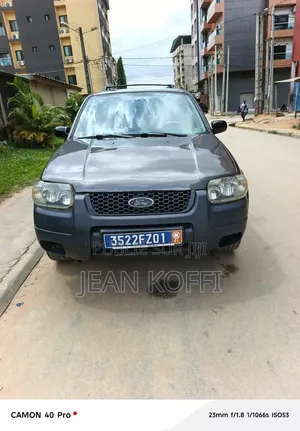 Ford Escape 2004 Gris