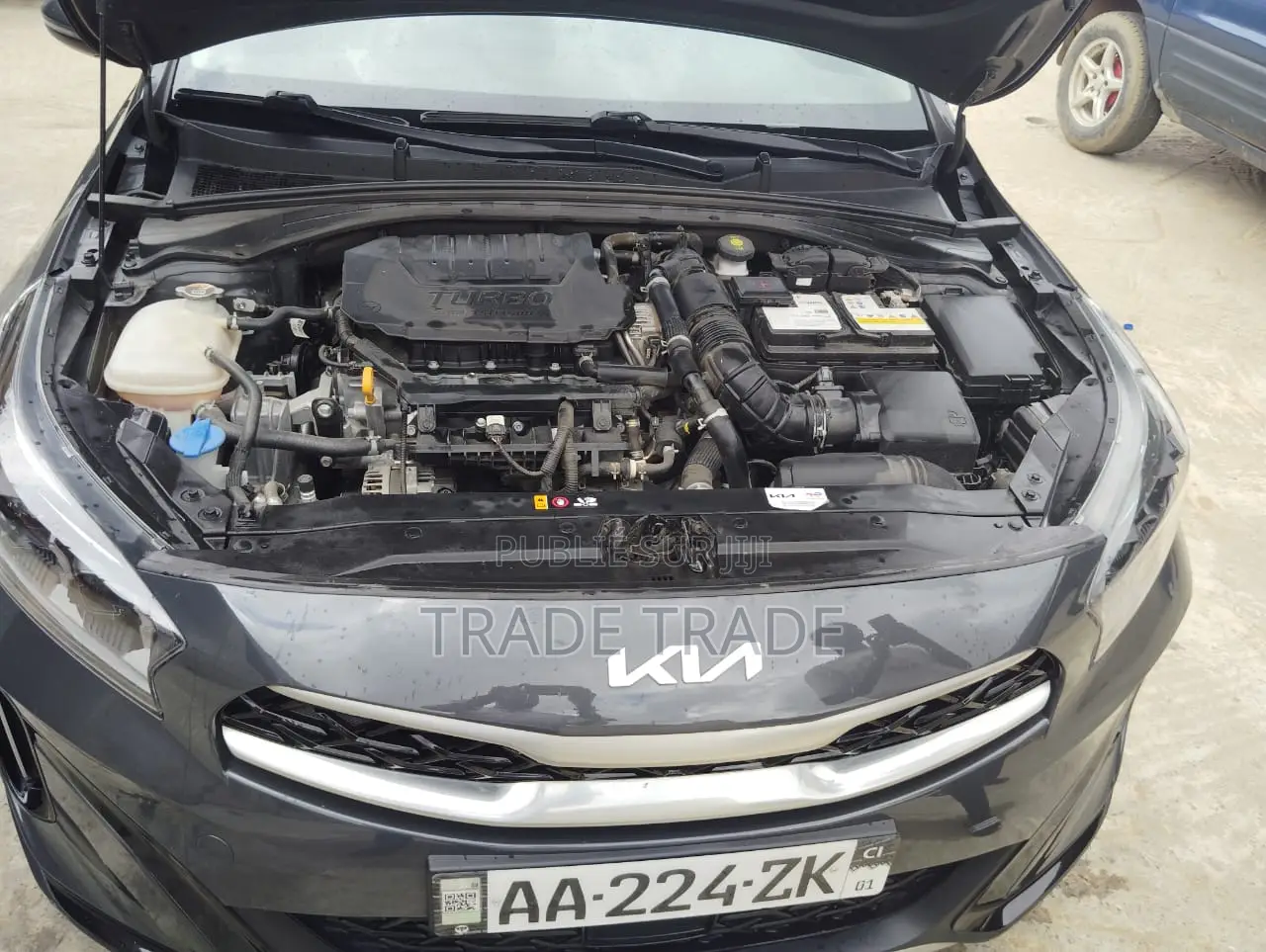 Kia Ceed 2023 Gris