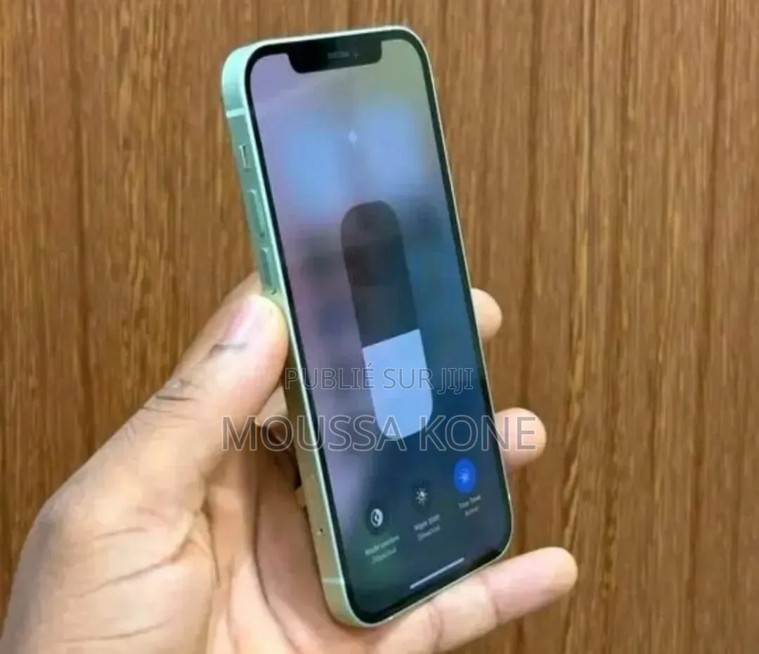 Nouveau Apple iPhone 12 256 GB Argenté