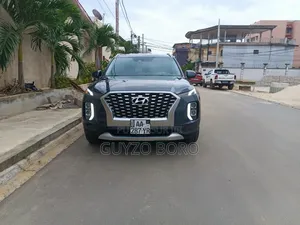 Hyundai Palissade 2020 Gris