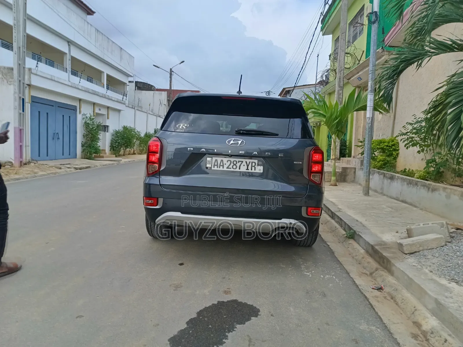 Hyundai Palissade 2020 Gris
