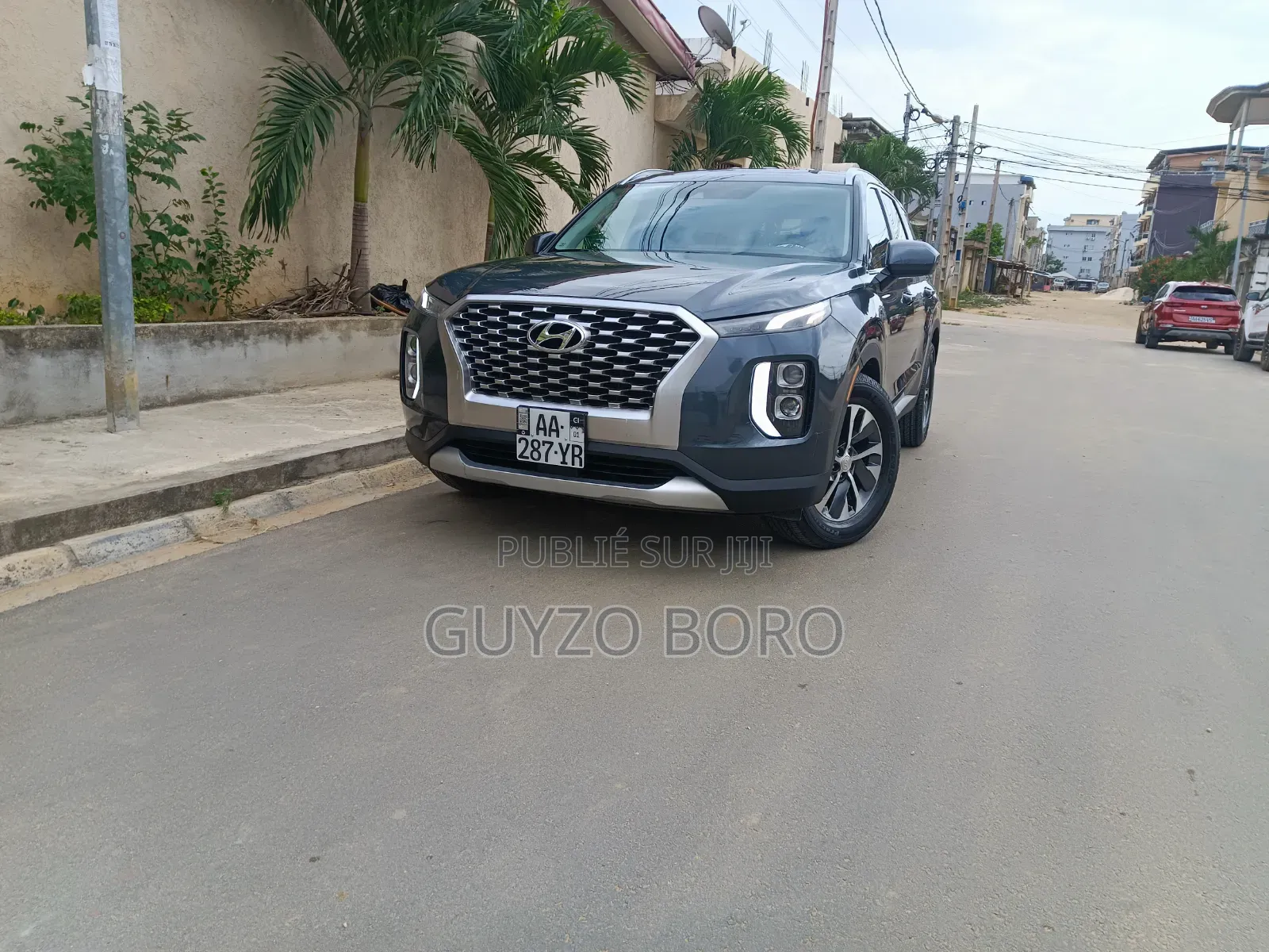 Hyundai Palissade 2020 Gris