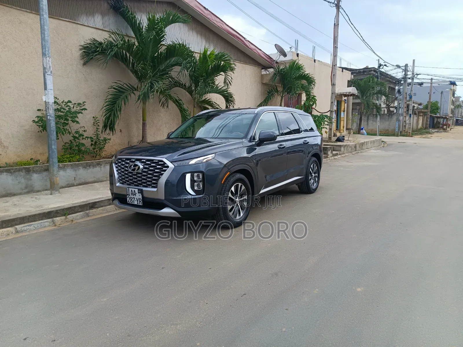 Hyundai Palissade 2020 Gris