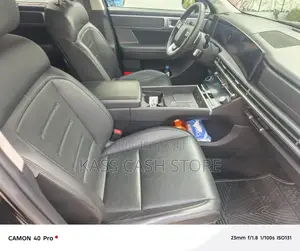 Hyundai Santa Fe 2024 Noir