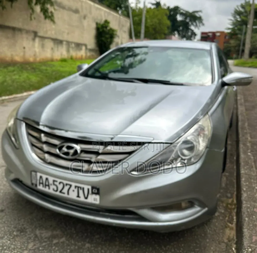 Hyundai Sonata 2011 Gris