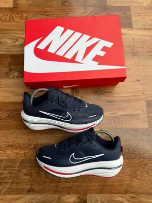 Nike Winflo 12