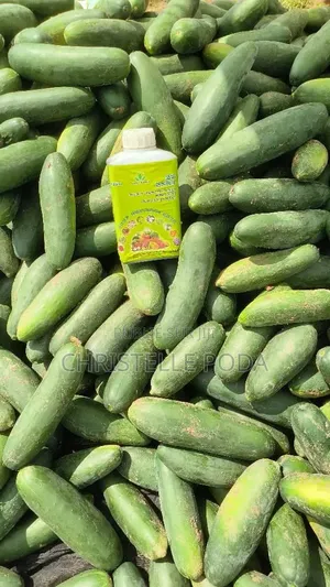 Engrais Biologique Nutriplan