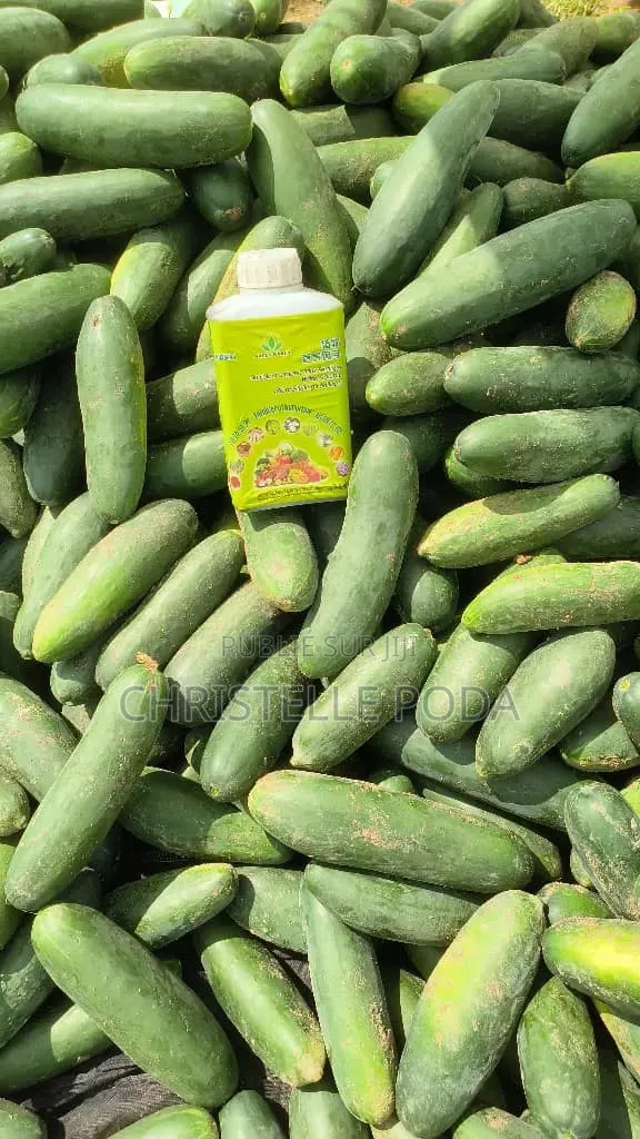 Engrais Biologique Nutriplan