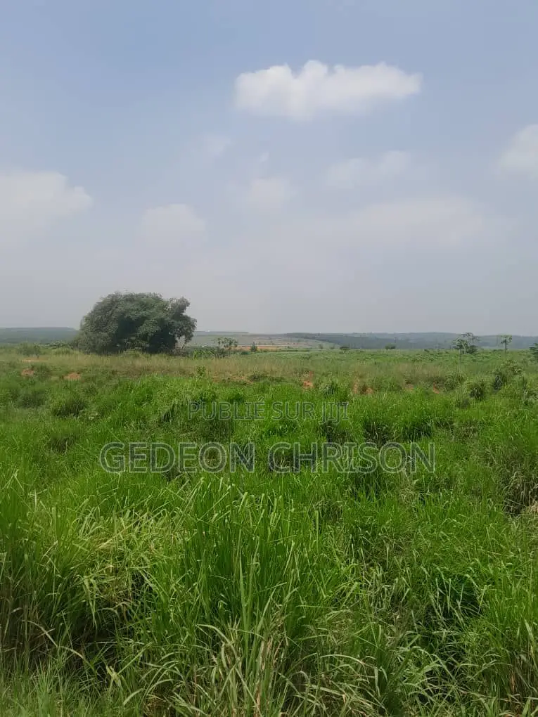 À Vendre — Terrain 24 359 M2 Zone Industrielle Yopougon Pk24