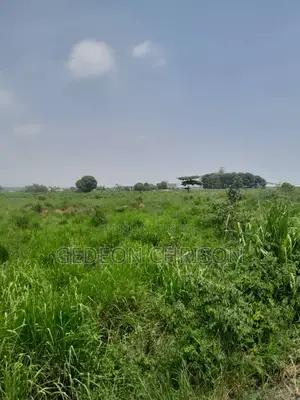 À Vendre — Terrain 24 359 M2 Zone Industrielle Yopougon Pk24