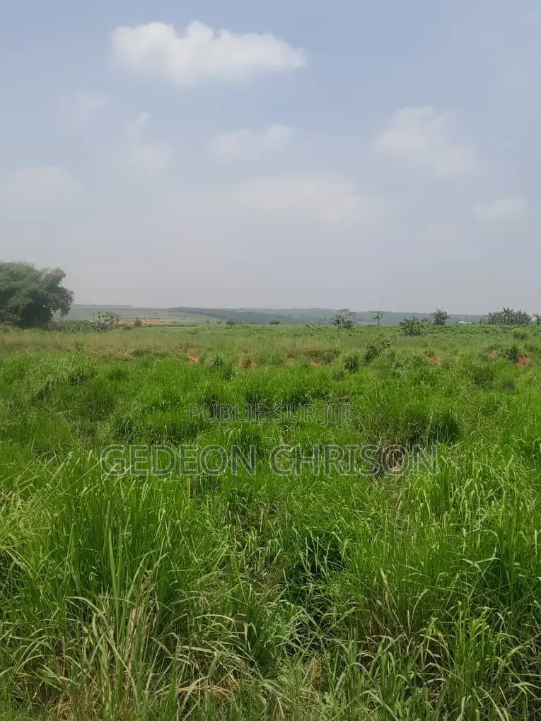 À Vendre — Terrain 24 359 M2 Zone Industrielle Yopougon Pk24