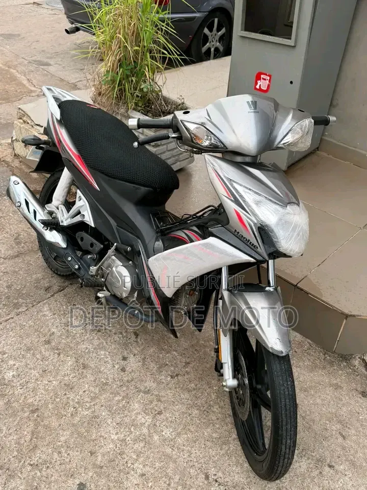Nouveau Haojue HJ110-A 2025 Gris