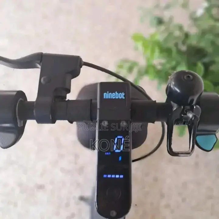 Trottinette Électrique