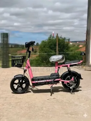 Vélo Électrique