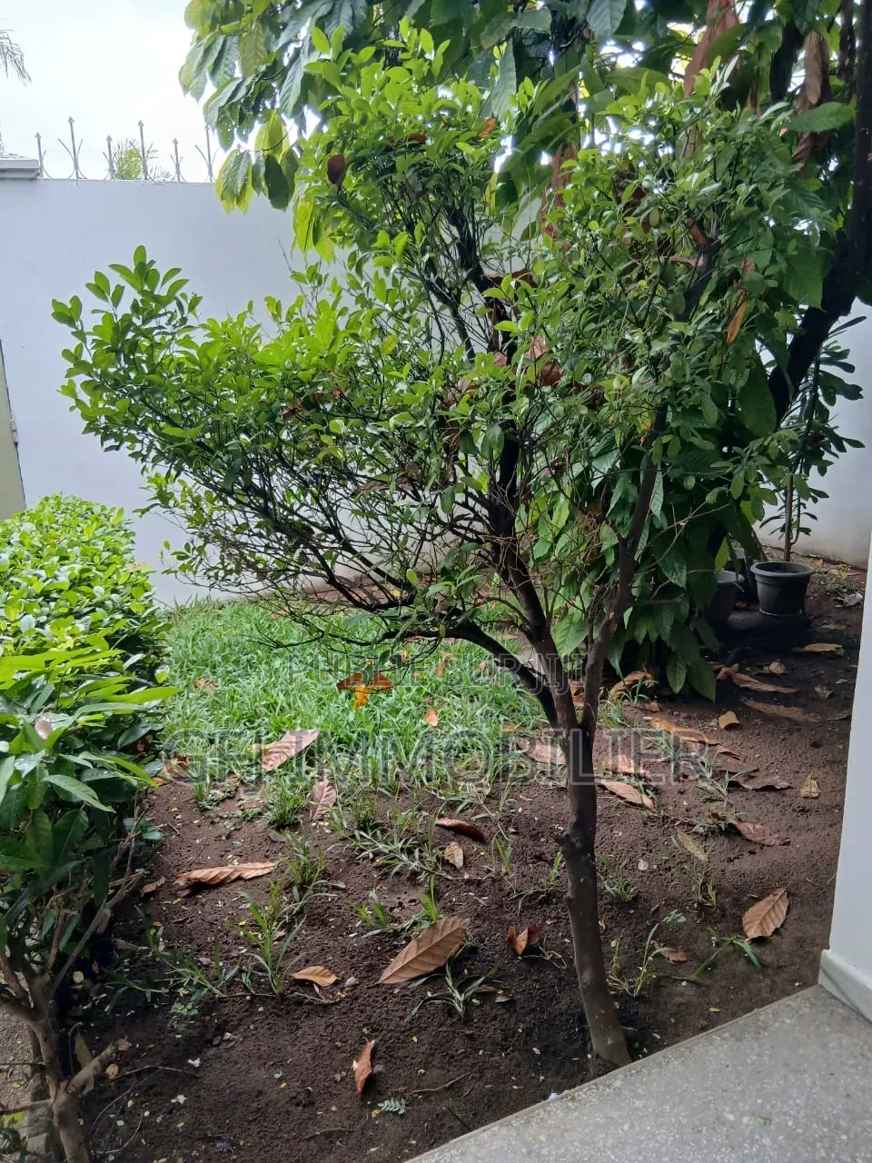 3chbre Villa dans Francis Gweh, Cocody à Louer