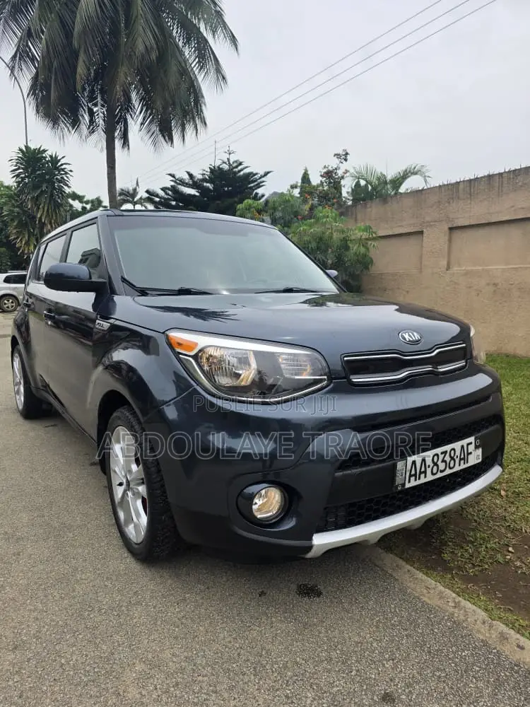 Kia Âme 2018 Gris