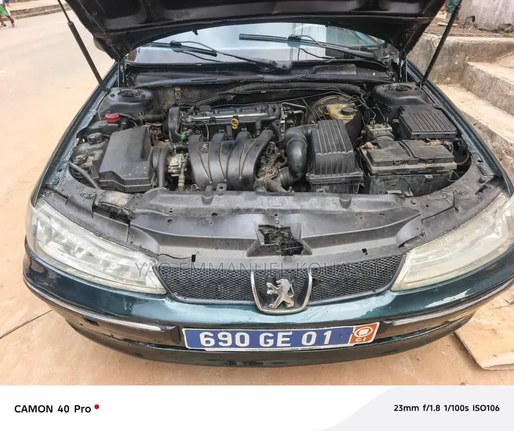 Peugeot 406 2002 Bleu