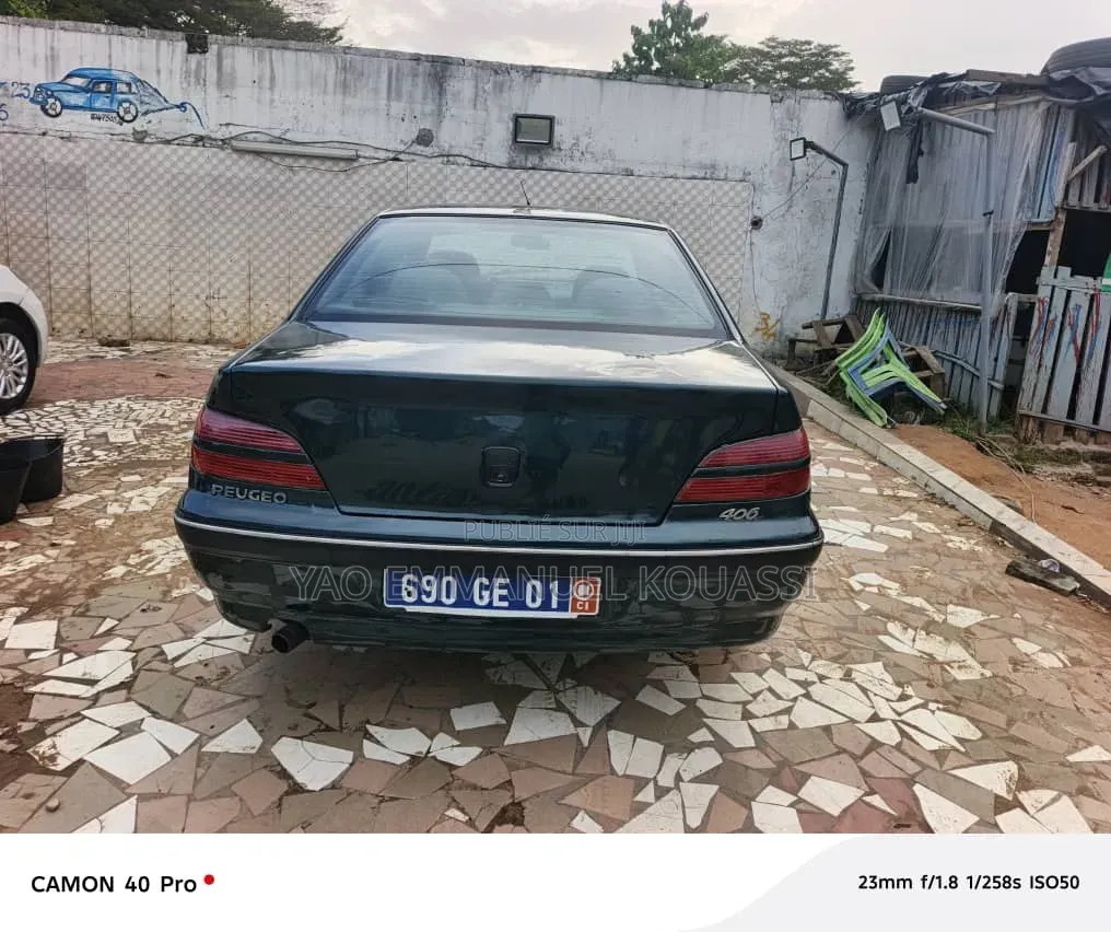 Peugeot 406 2002 Bleu