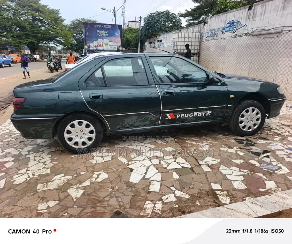 Peugeot 406 2002 Bleu