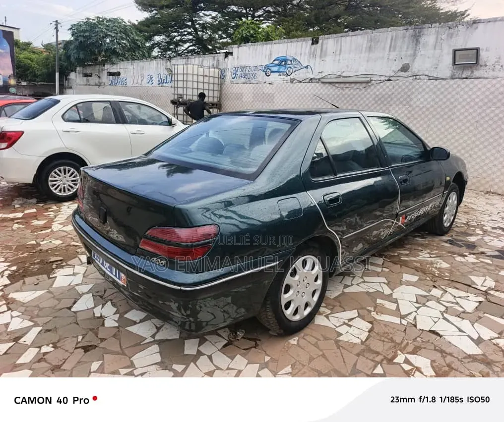 Peugeot 406 2002 Bleu