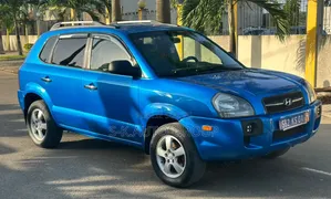 Hyundai Tucson 2007 Bleu