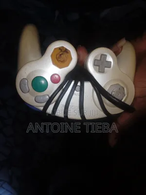 Nintendo Wii