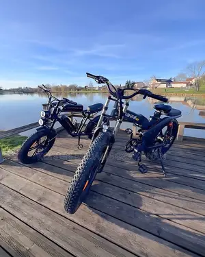 Vélo Électrique