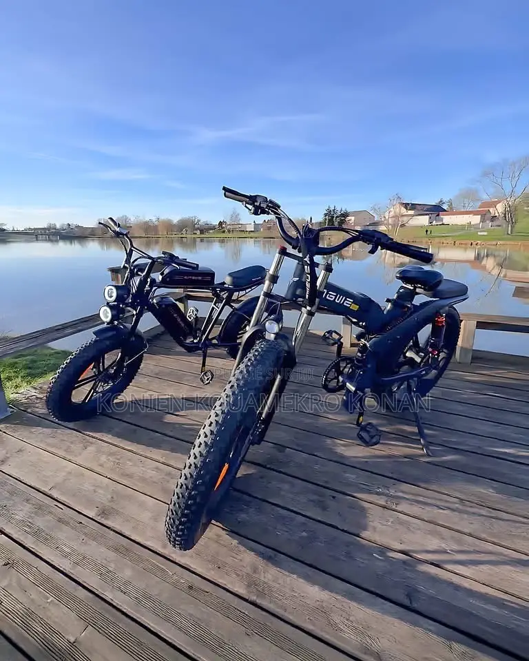 Vélo Électrique