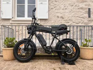 Vélo Électrique