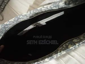 Sac Dior De Christian Dior