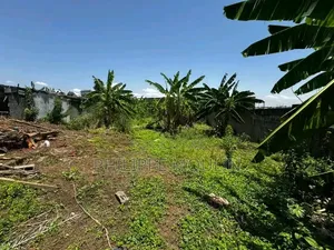 Terrain a Vendre a Yamoussoukro Kokrenou