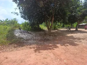 Terrain a Vendre a 150 Mettre De Voix Bitumée