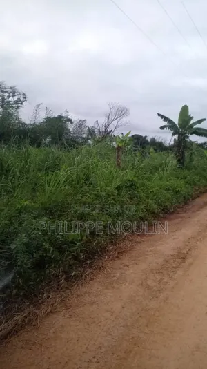 Terrain a Vendre a 150 Mettre De Voix Bitumée