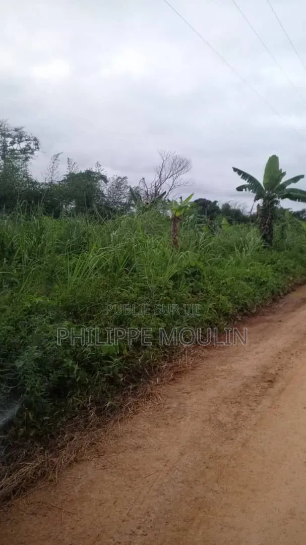 Terrain a Vendre a 150 Mettre De Voix Bitumée