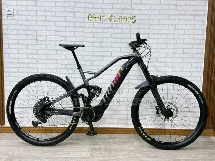 Vélo Électrique