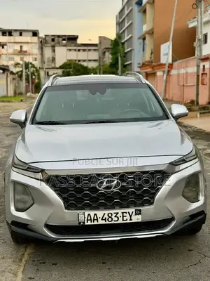 Hyundai Santa Fe 2020 Gris