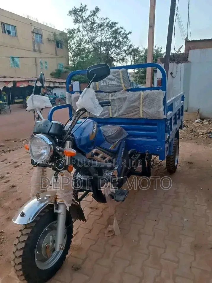 Nouveau Tricycle Autre 2025 Bleu