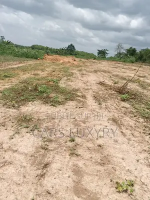Jacqueville. Terrain 5 Hectares Acd