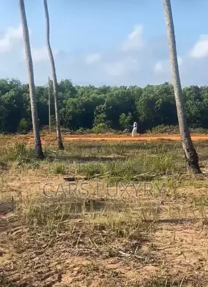 Jacqueville. Terrain 5 Hectares Acd
