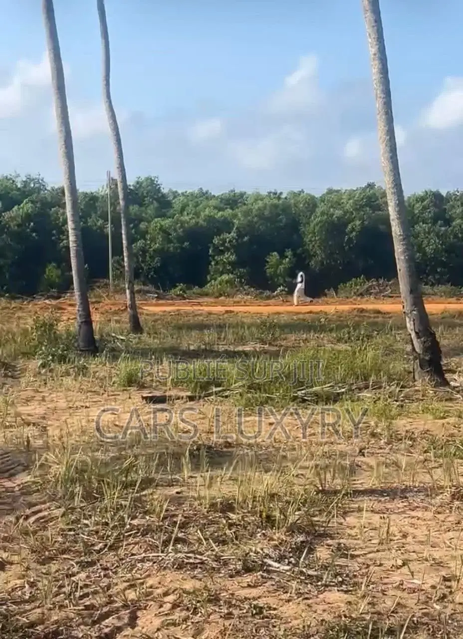 Jacqueville. Terrain 5 Hectares Acd
