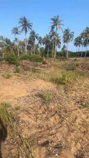 Jacqueville. Terrain 5 Hectares Acd