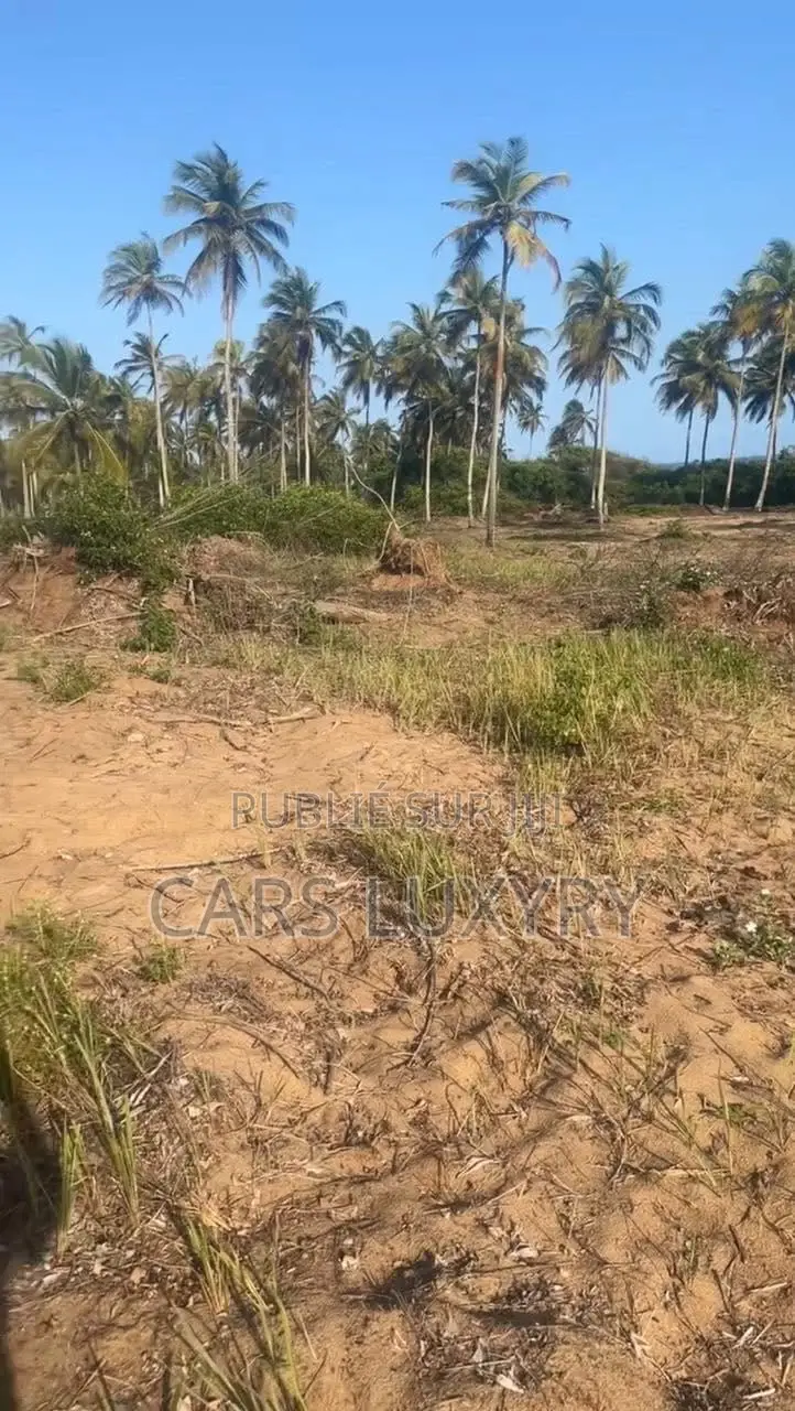 Jacqueville. Terrain 5 Hectares Acd