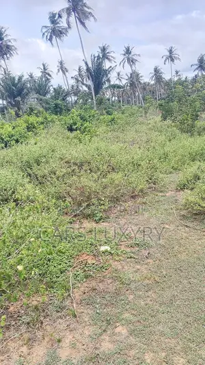 Jacqueville. Terrain 5 Hectares Acd