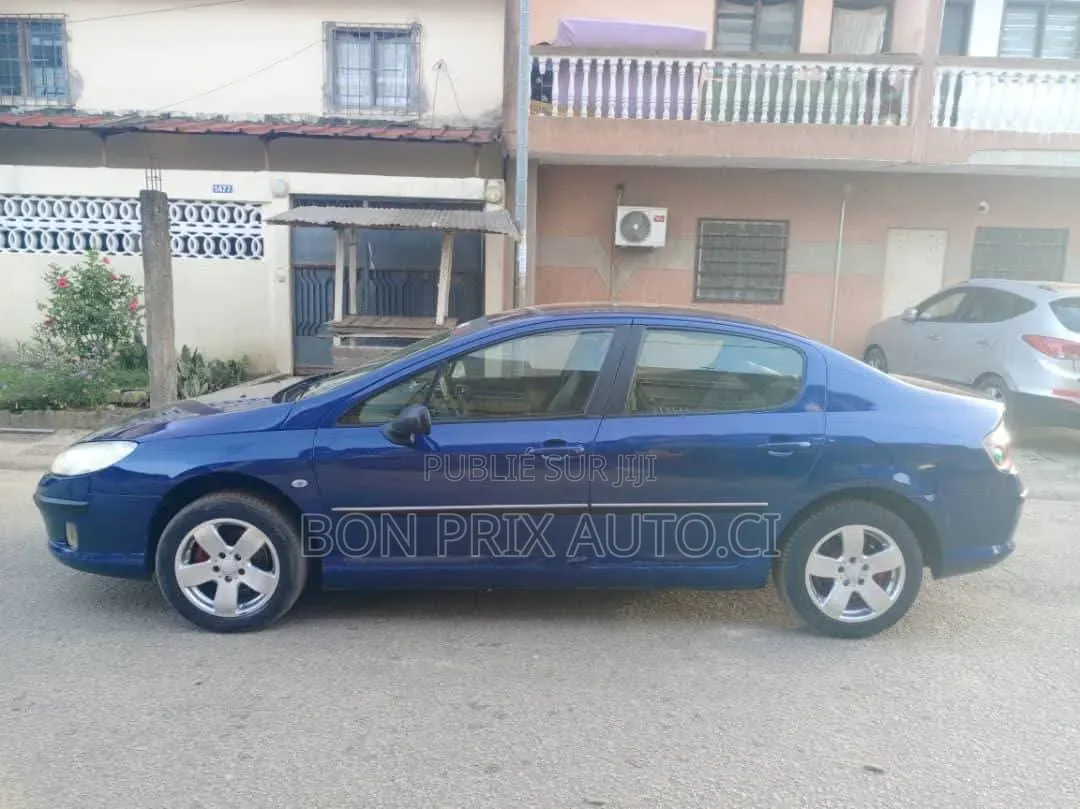 Peugeot 407 1.6 Esplanade 2008 Bleu