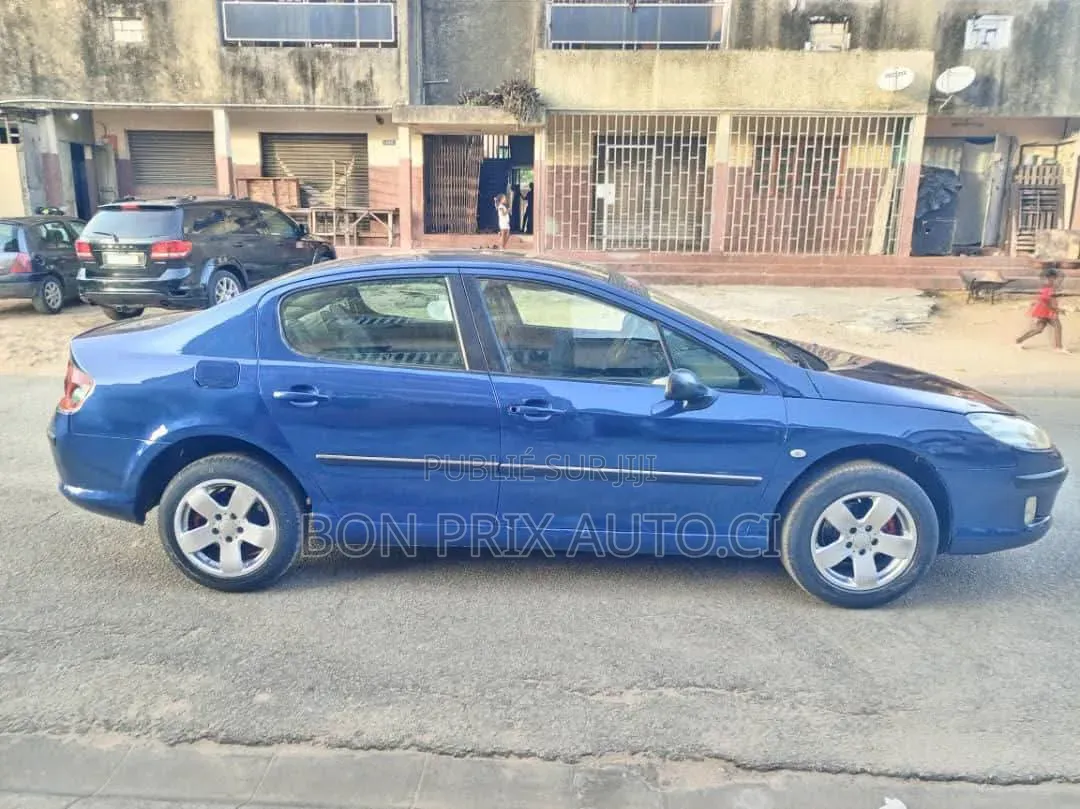 Peugeot 407 1.6 Esplanade 2008 Bleu