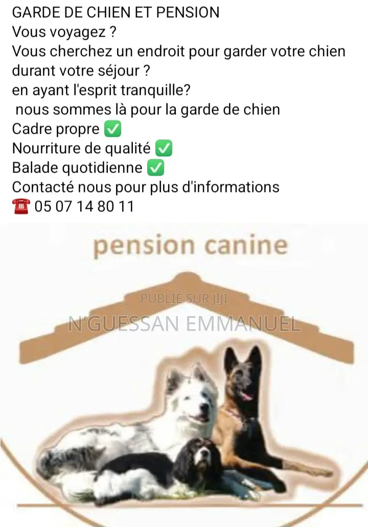 1-3 mois Homme Pure race Akita